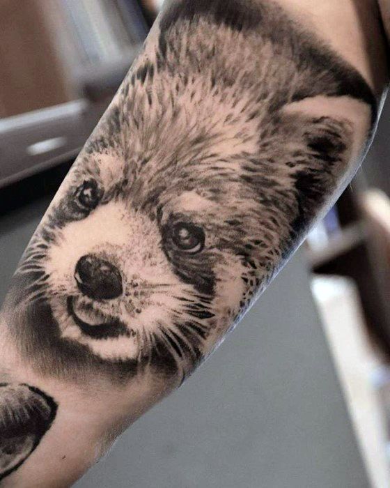 Inner Arm Realistic Red Panda Guys Tattoos