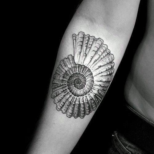 Inner Forearm Detailed Ammonite Guys Tattoos