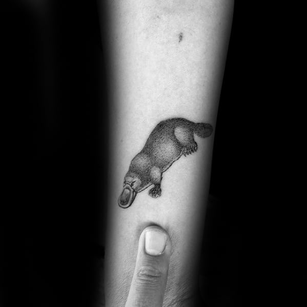 Inner Forearm Small Simple Guys Platypus Tattoos