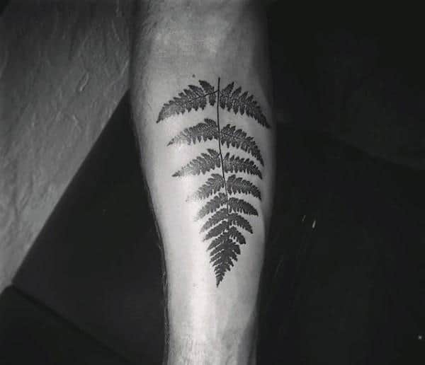 Inner Forearm Tattoo Design Of Fern On Gentleman