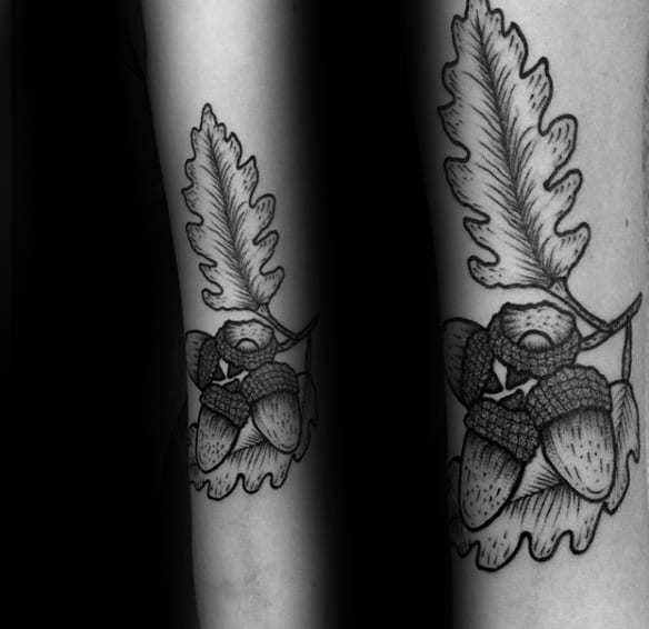 Inner Forearm Tattoo Of Acorns With Oak Leaves On Gentleman