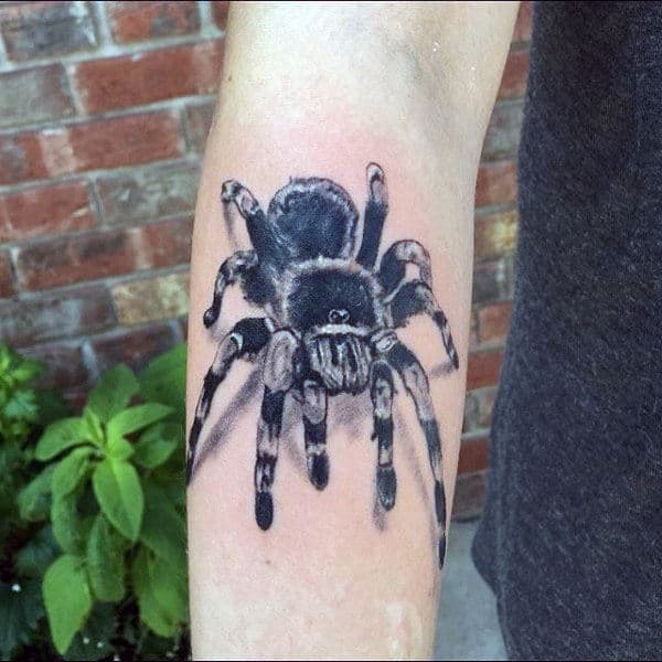 Inner Forearm Tattoo Of Tarantula On Gentleman