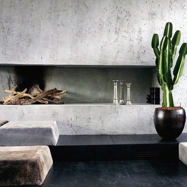 Textured concrete fireplace with wood accents and cactus decor.