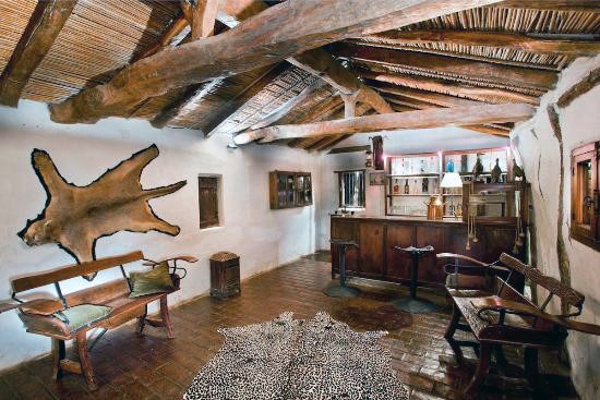 Interior Design Rustic Basement