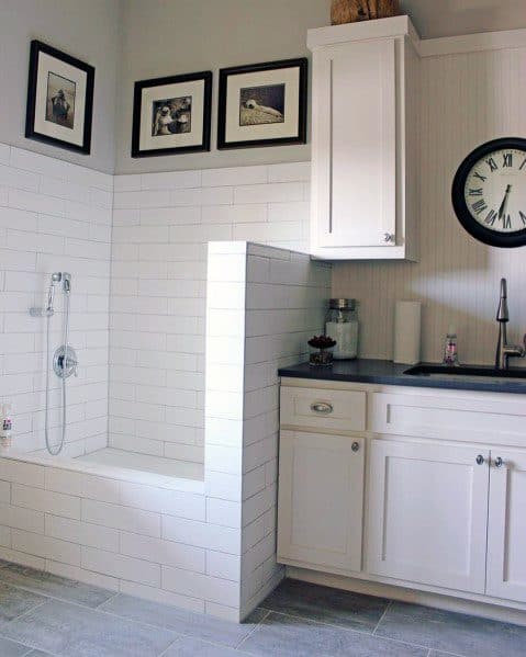 Interior Ideas For Home Dog Wash Stations
