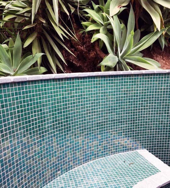 Green mosaic tile pool wall with tropical plants and agave in the background.