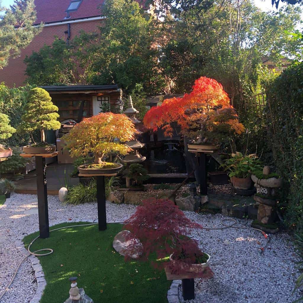 japanese zen garden