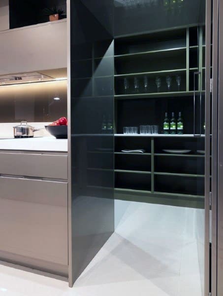 A sleek modern kitchen pantry with semi-transparent doors and minimalist shelving for organized storage.
