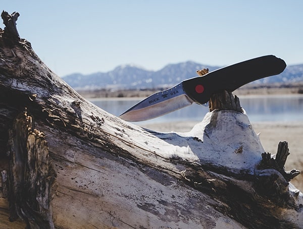 Knife Reviews Buck Knives 841 Sprint Pro