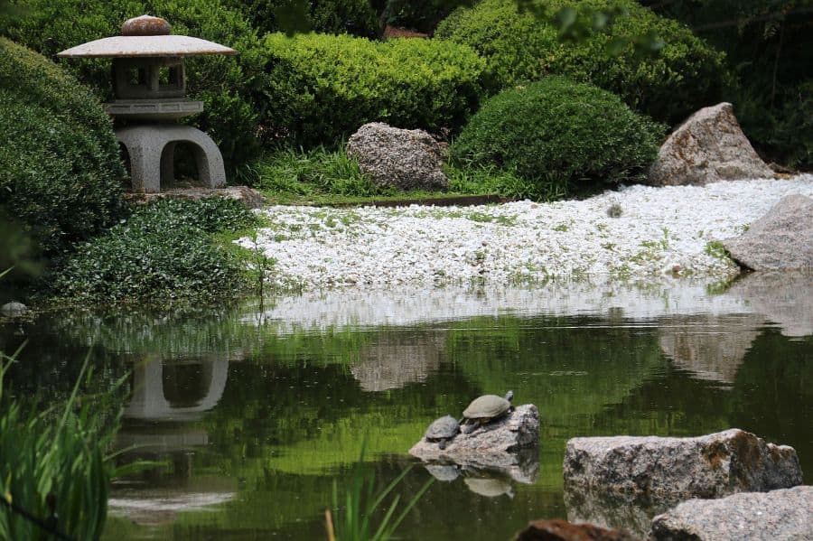 stone temple statue by koi pond with turtles 