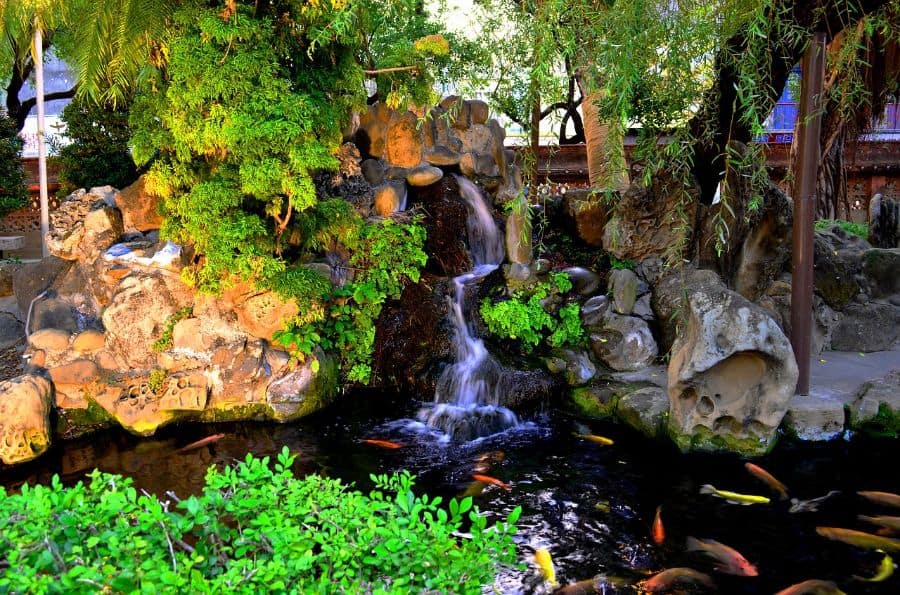 large koi pond with waterfall backyard 