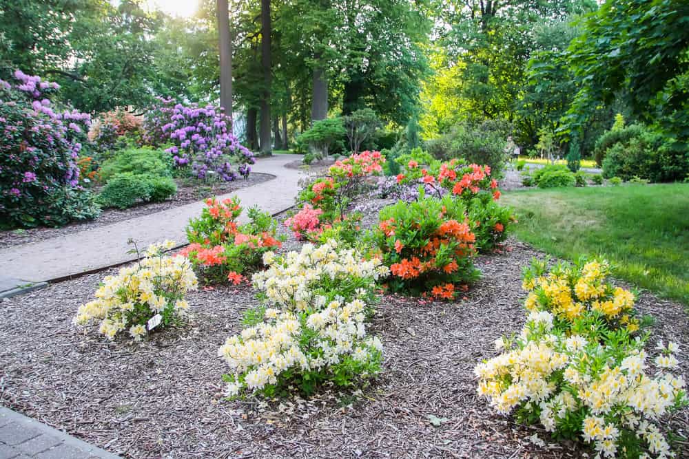 landscaped flower garden dirt path colorful flowers