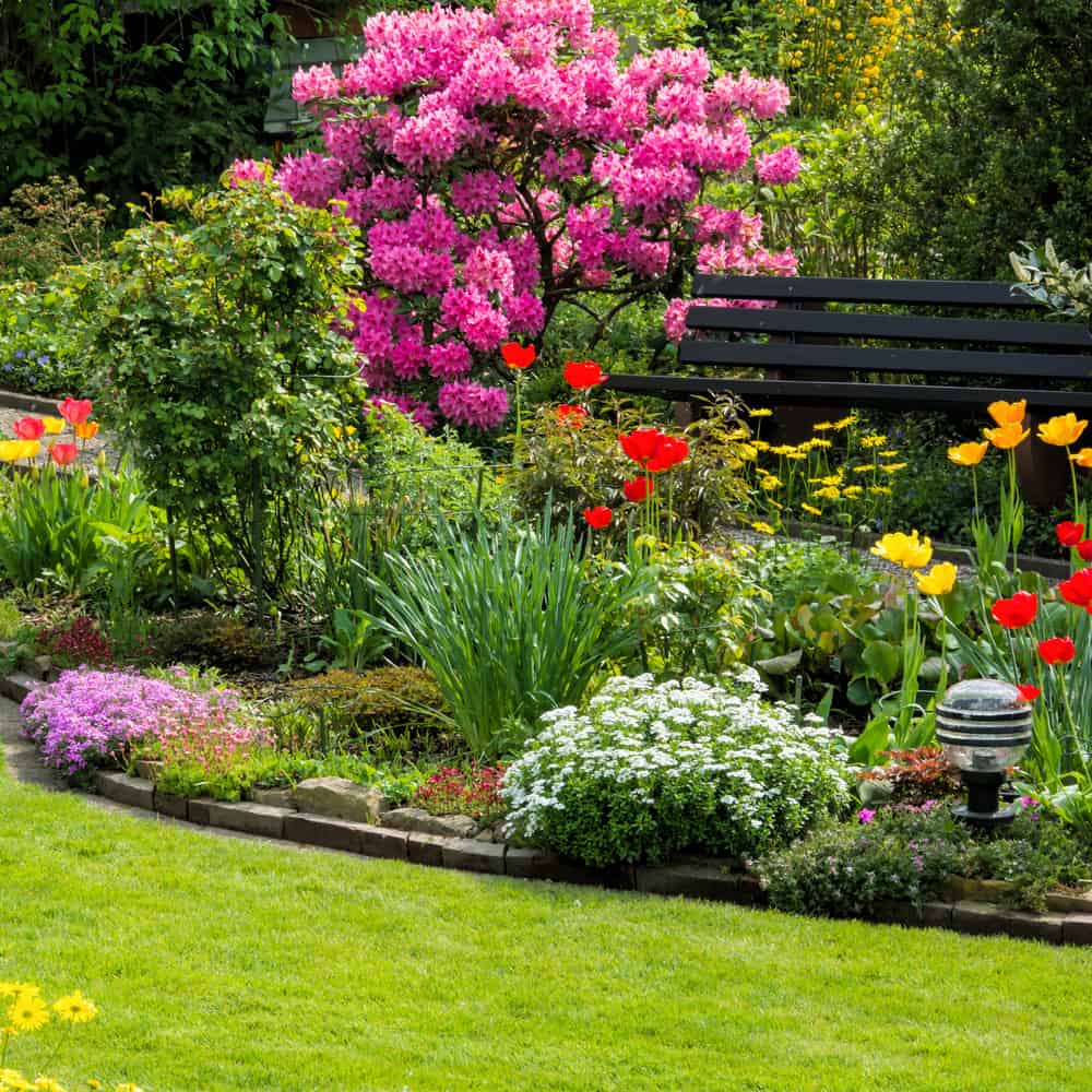 landscaped flower garden park bench pink flowers