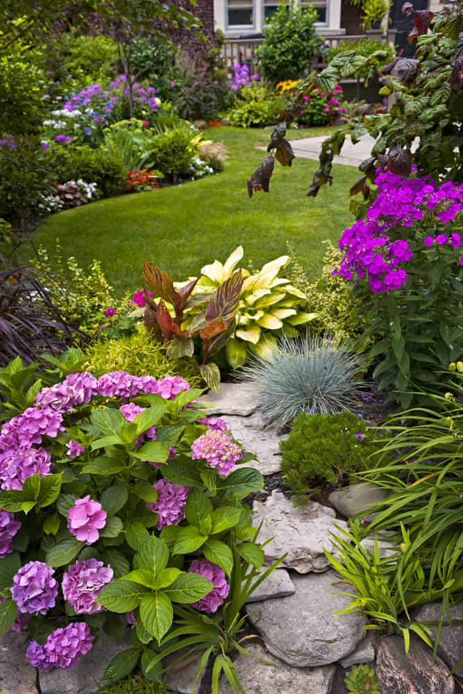 landscaped colorful garden with flowers 
