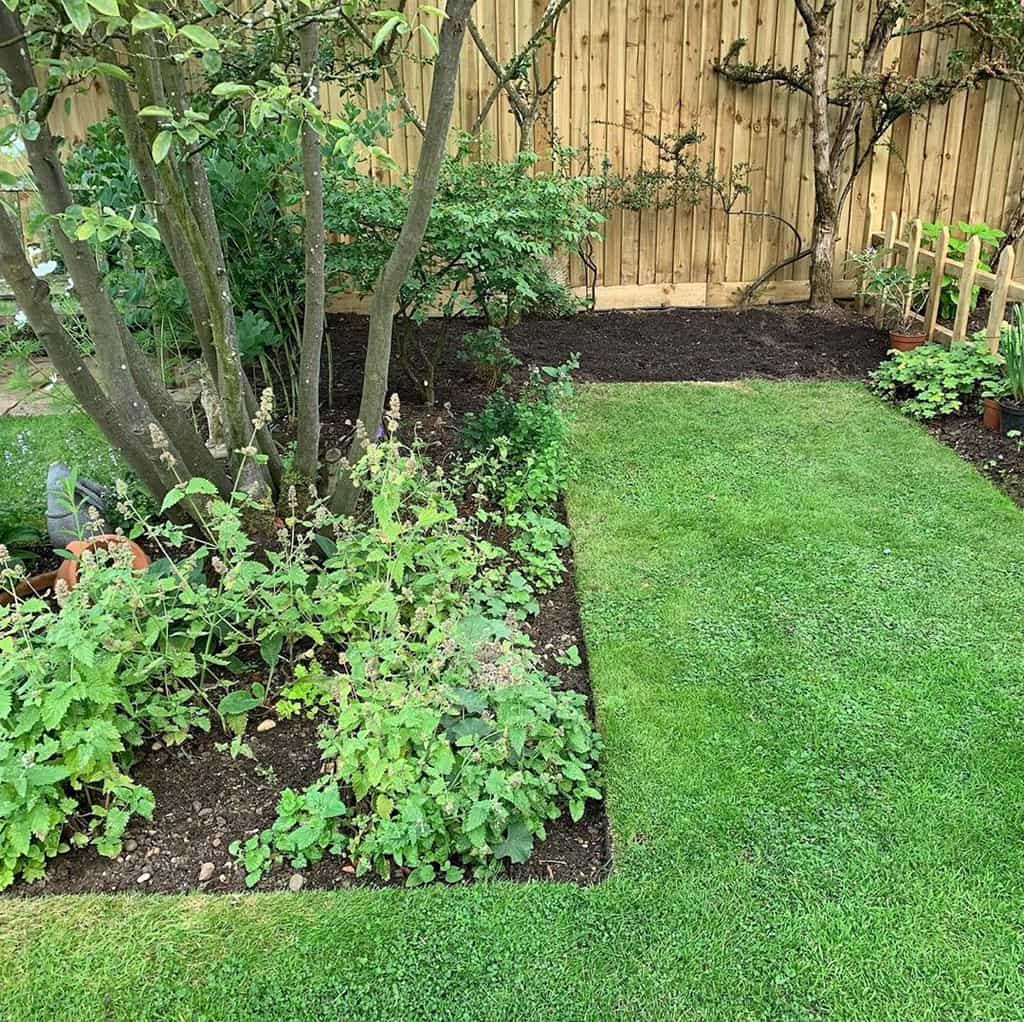 landscaped backyard with mowed grass