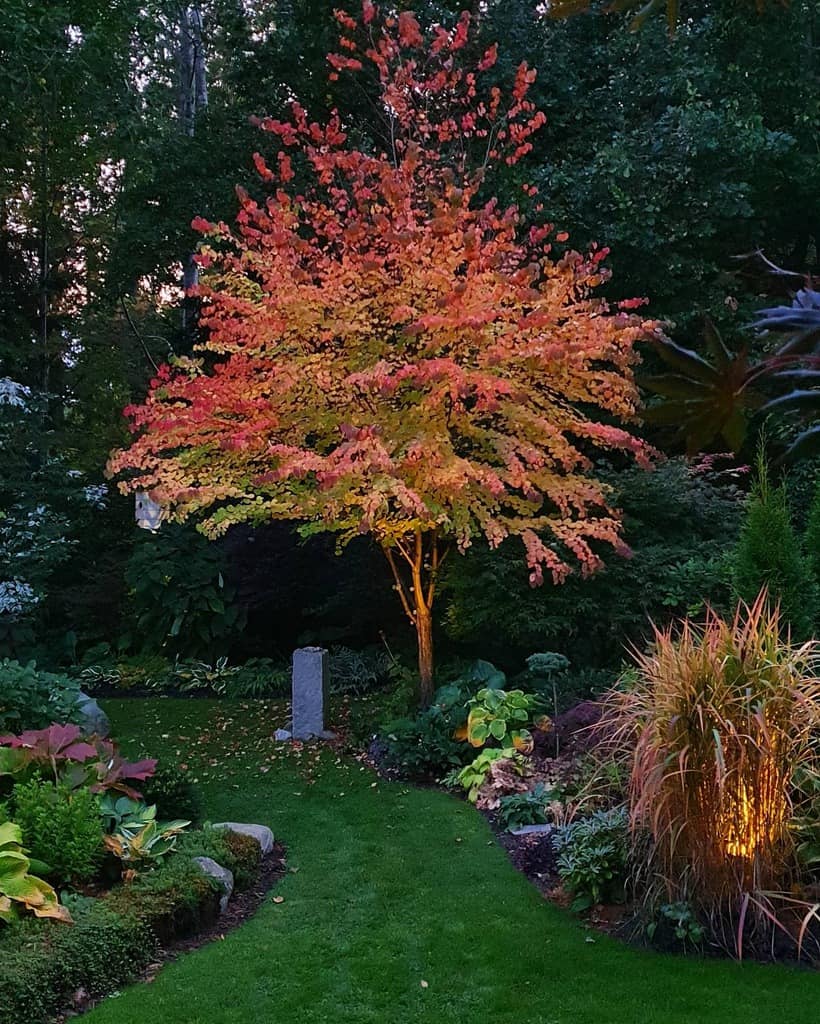 landscaped shade garden