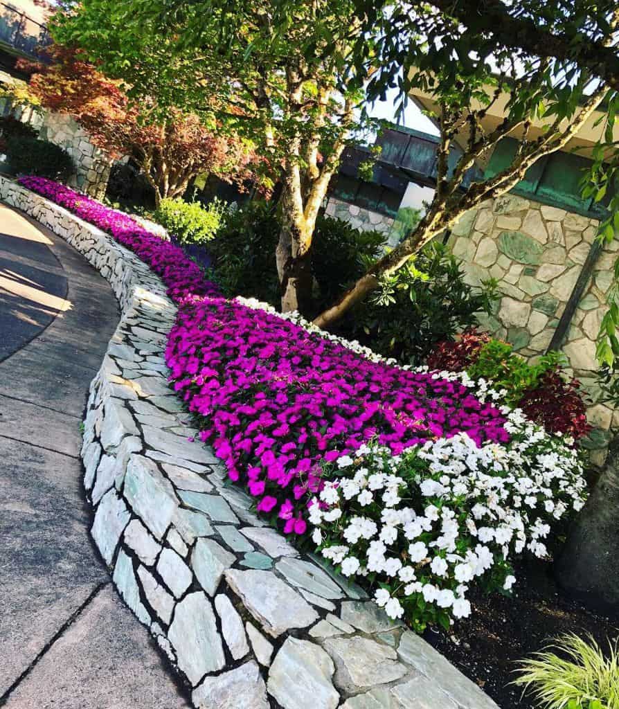 landscaping flower bed pink and white flowers stone barrier