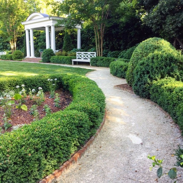 hedge-lined walkway