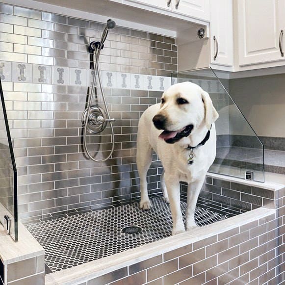 Large Dog Washing Station With Dog Bone Pattern Wall Tile