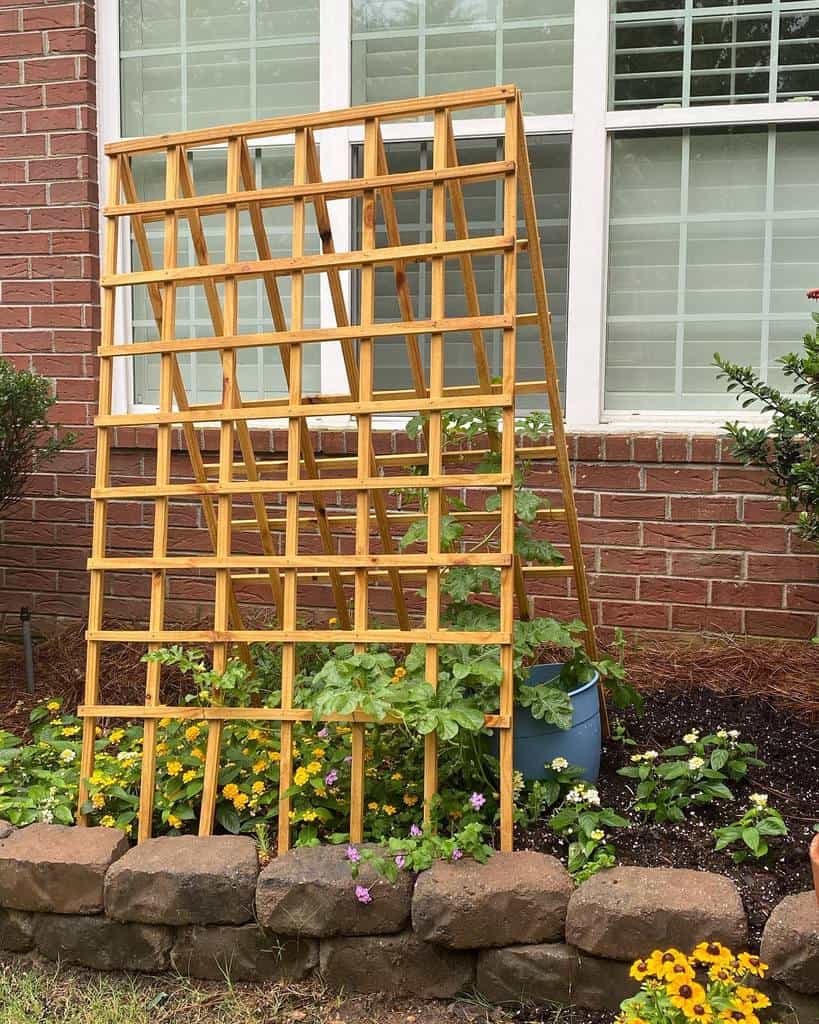wood lattice garden trellis backyard stone edging