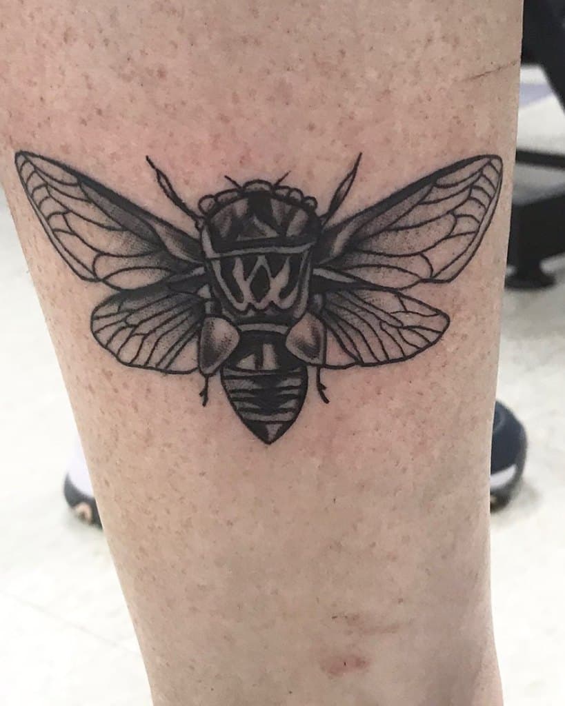 Black and gray cicada tattoo on a  leg