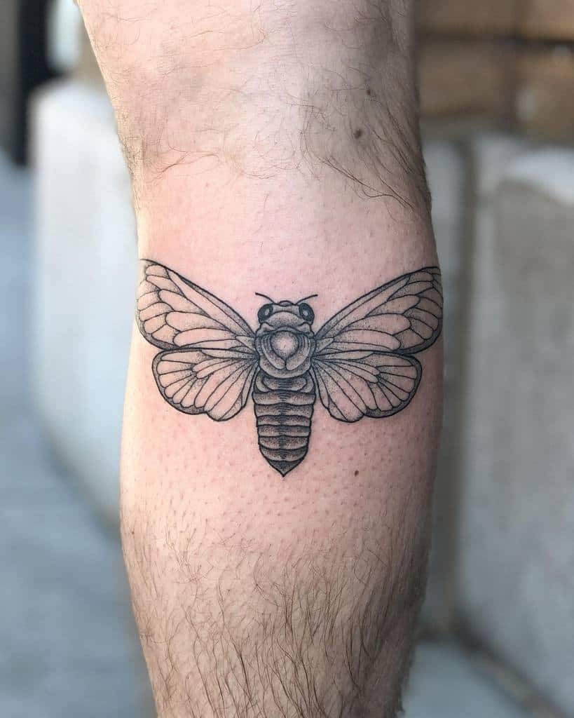 Line art cicada tattoo on a calf