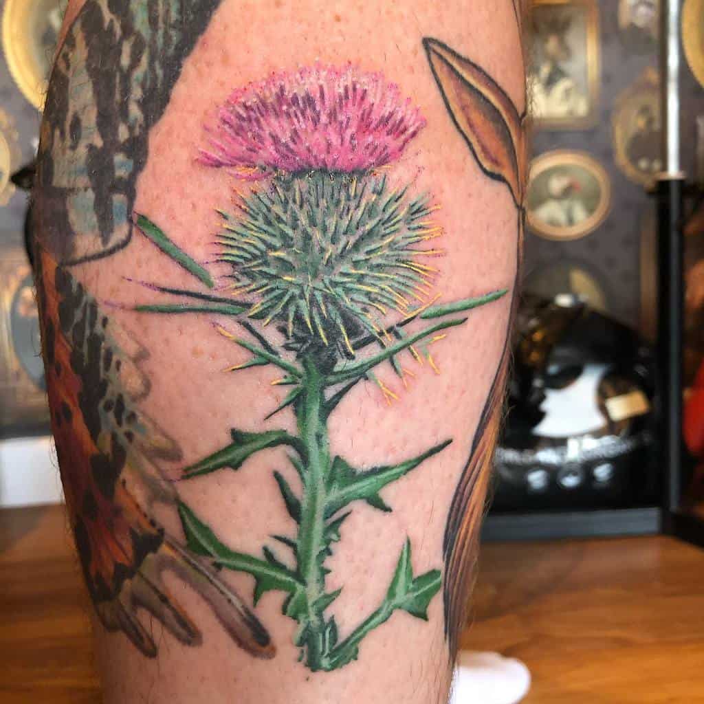 A stunning tattoo of a vibrant thistle flower on the calf