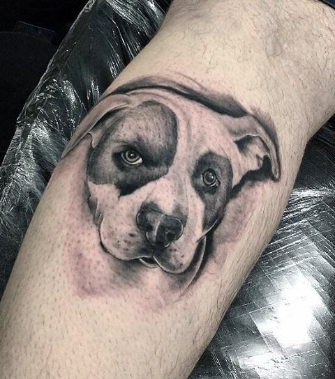 Leg Calf 3d Pitbull Guys Tattoo Designs