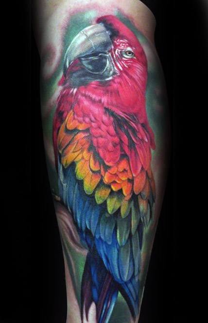 Leg Colorful Parrot Tattoo Design On Man