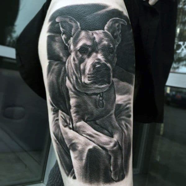 Leg Cool Pitbull Dog Tattoo Design Ideas For Male