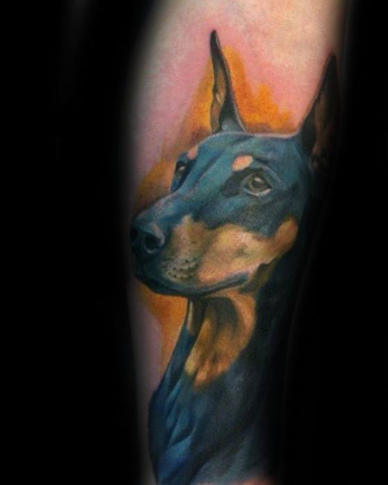 Color realism Doberman tattoo with warm lighting and a soft orange-pink background, capturing a calm yet attentive expression.