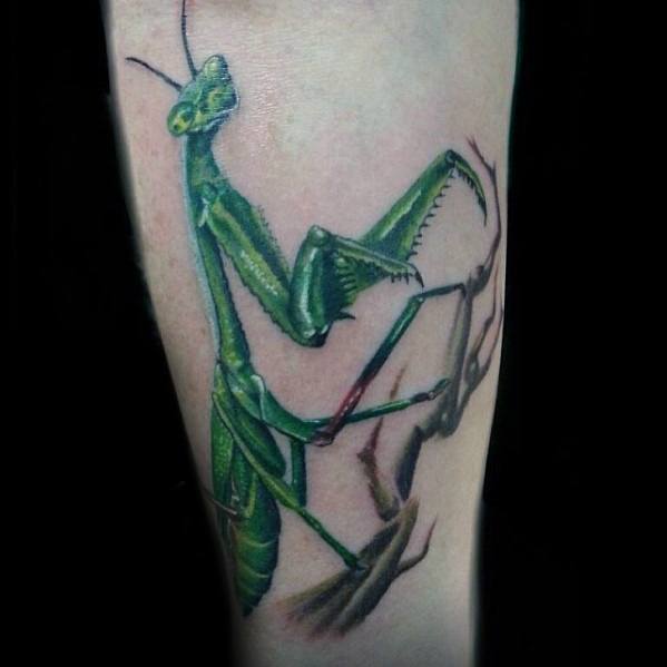 Leg Male Cool Praying Mantis Tattoo Ideas
