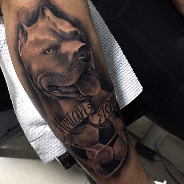 Leg Mens Tattoo Pitbull Design