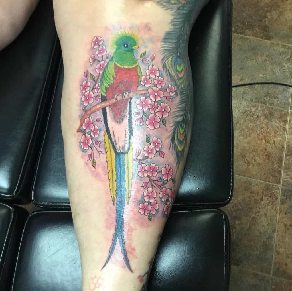 A tattoo of a vibrant quetzal perched on a branch with pink flowers graces a leg
