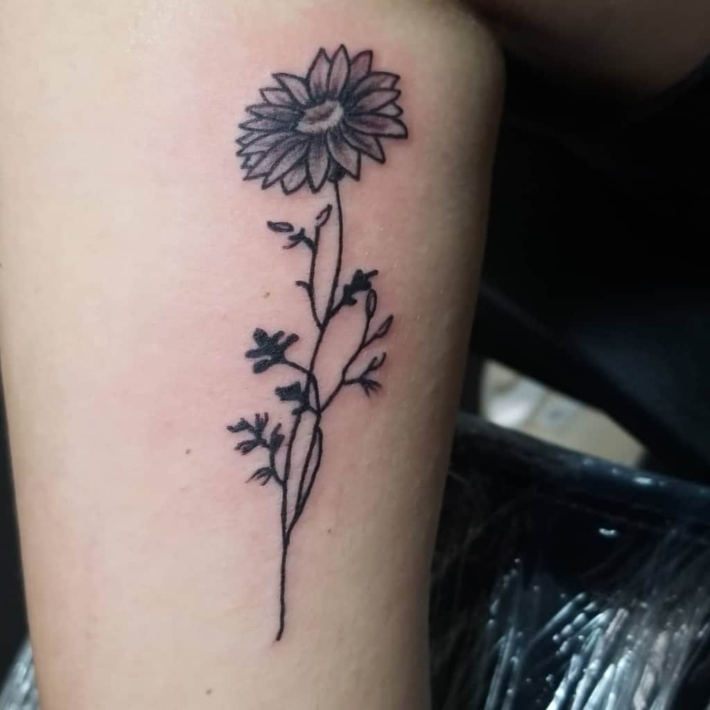Line art tattoo of a daisy with leaves and buds on a leg