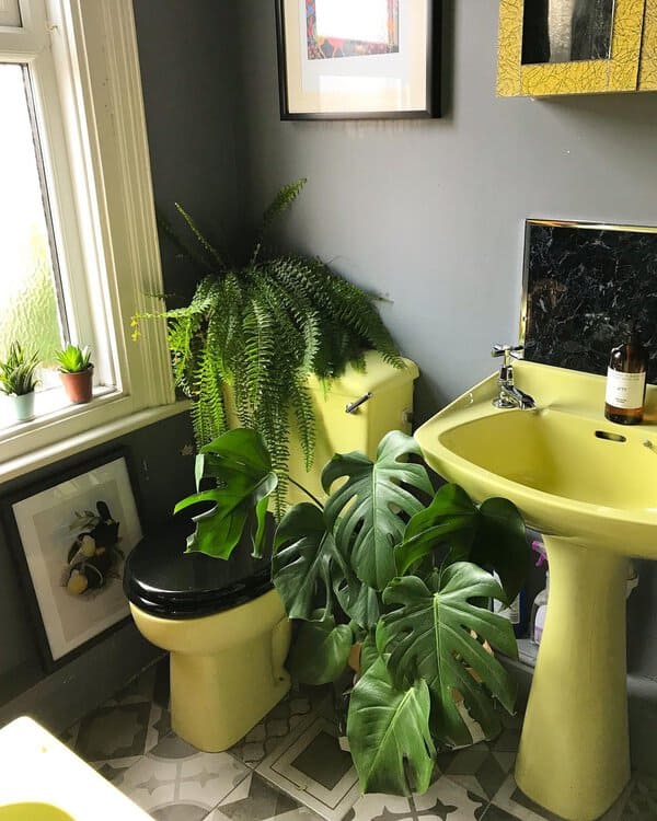 Bathroom with a lemon sink and toilet, deep gray walls, and lush plants for a vibrant, tropical feel.