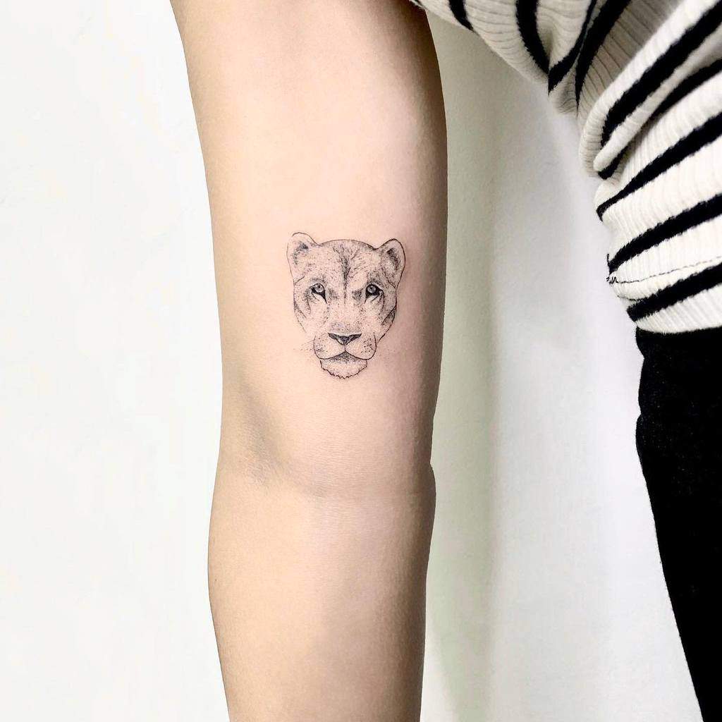 Sketch of a lion's face meticulously detailed with single needle technique tattooed on a forearm wearing a striped shirt