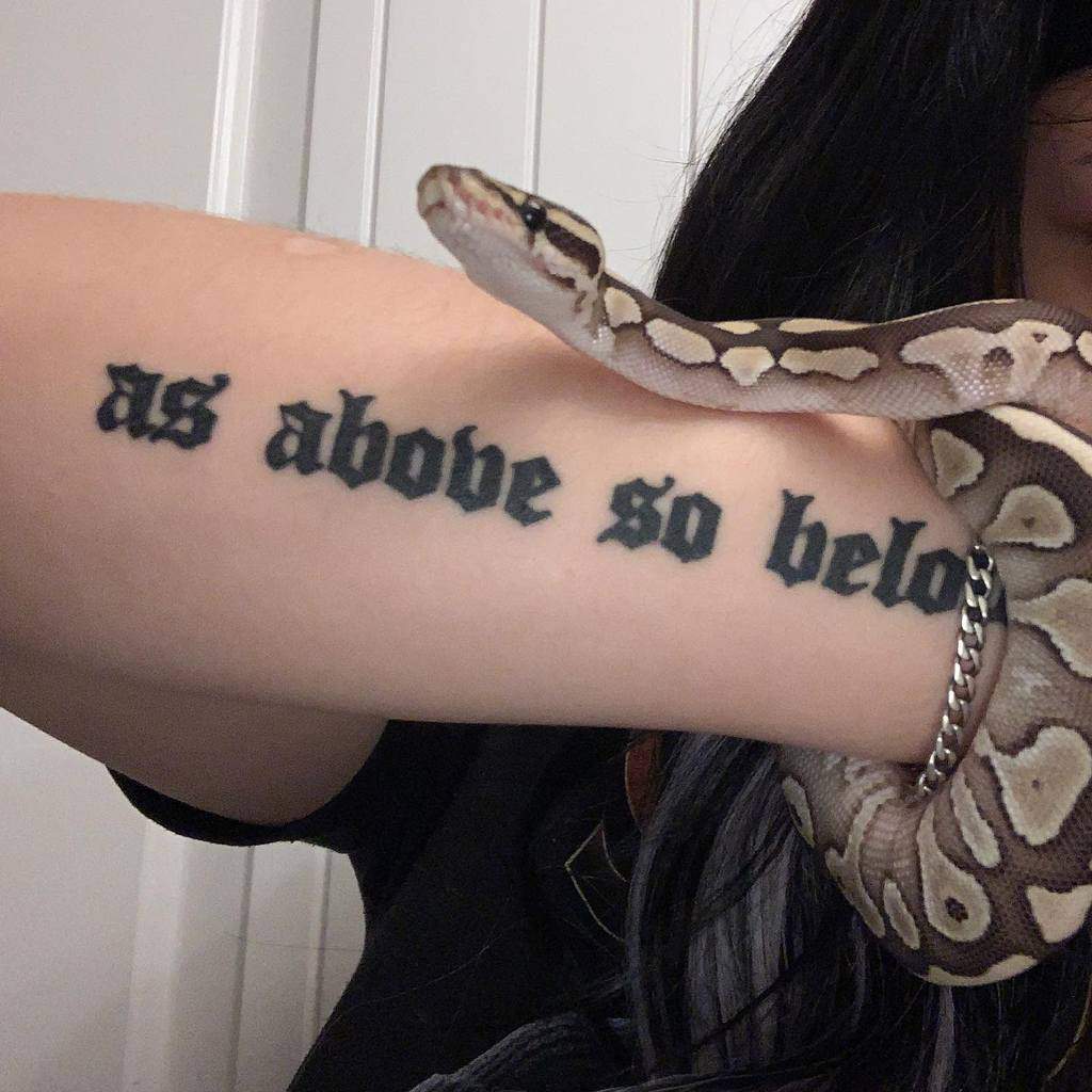 Forearm tattoo featuring the phrase 'As Above So Below' in bold Gothic lettering, paired with a serene ball python for a mystical vibe