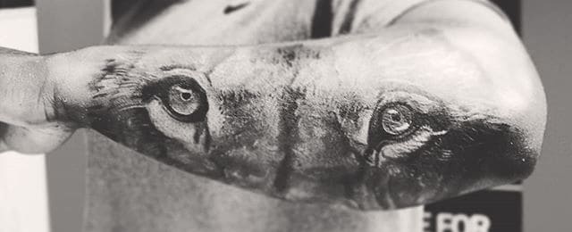 Lion Forearm Tattoos For Men