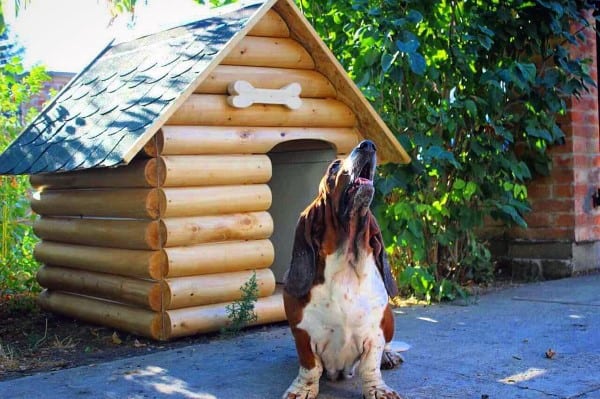 Log cabin-style dog house with a bone-shaped detail on the roof, with a dog sitting outside and howling, surrounded by greenery