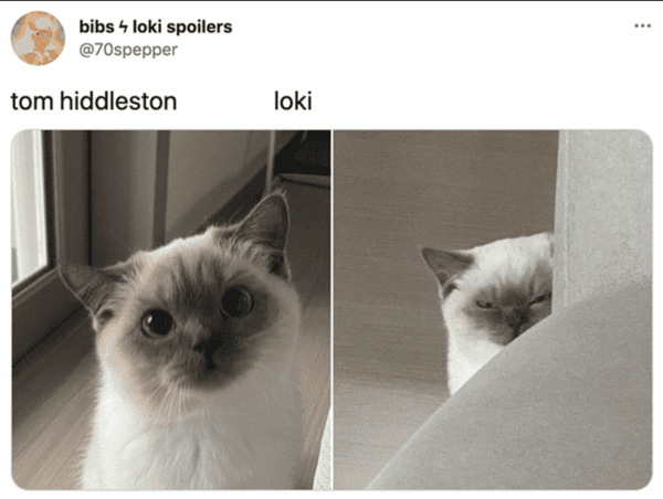 loki-memes-3