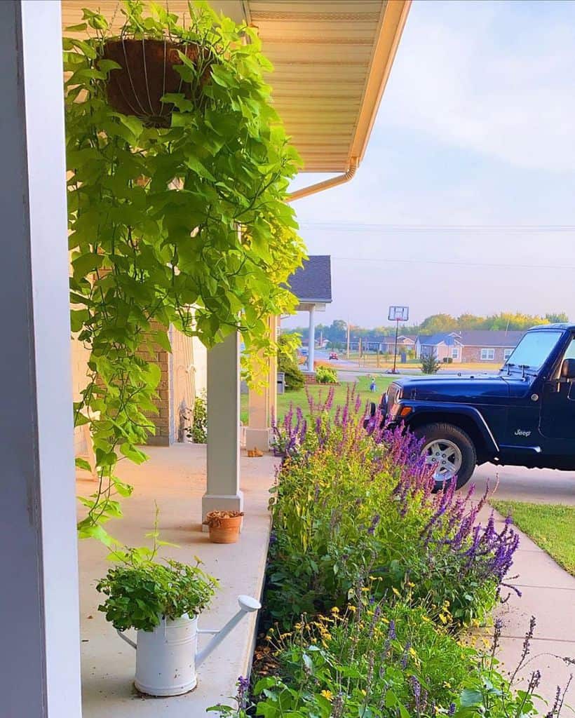 long flower bed front yard watering can