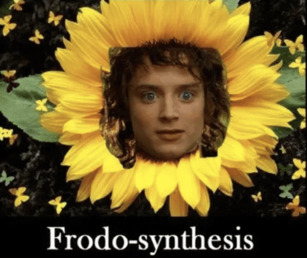 lord-of-the-rings-memes-17