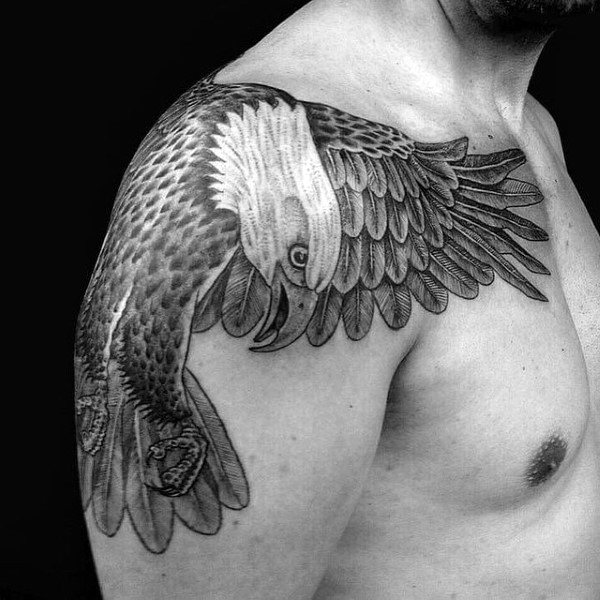 Lovely Winged Grey Bald Eagle Tattoo Guys Shoulders