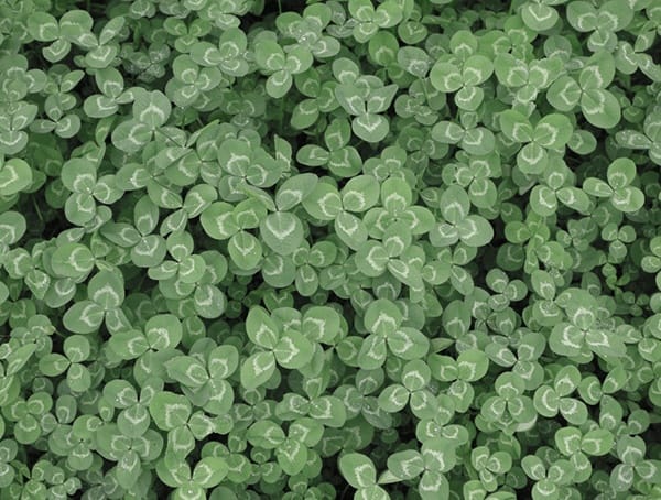 Luck Life Lessons For Men