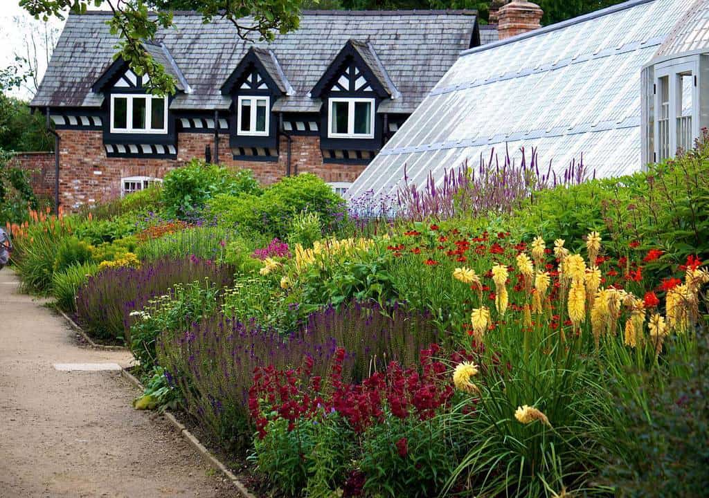 lush garden flowers backyard