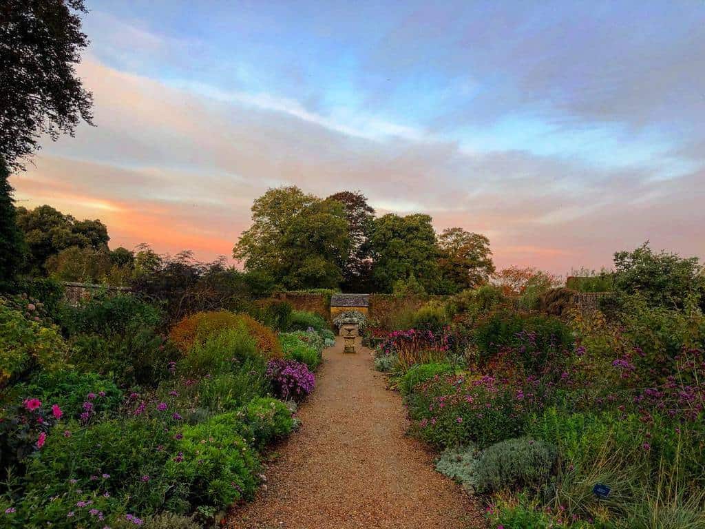 lush garden flower dirt path