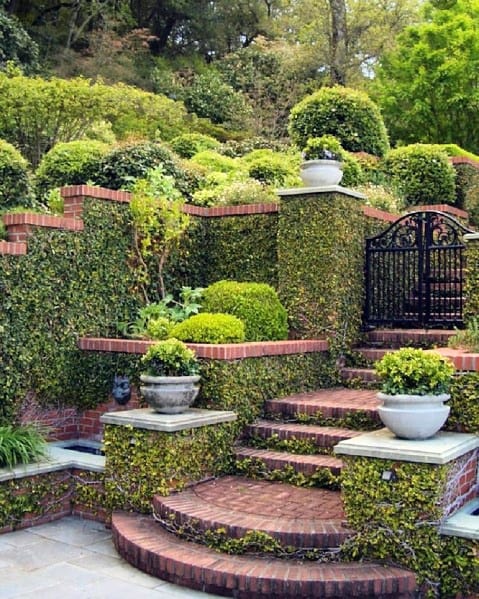 Brick steps, an ivy-covered walkway, and walls with potted plants by a black gate