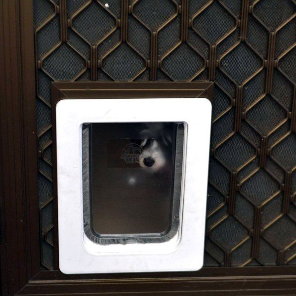 Luxury Doggy Door Ideas