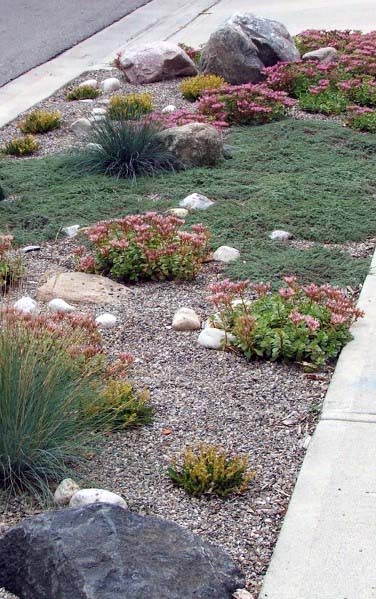 rock and gravel garden